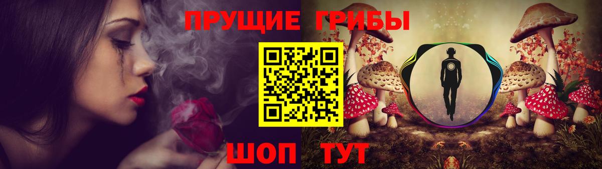 Галлюциногенные грибы прущие грибы  Вход с VPN  Балашиха 