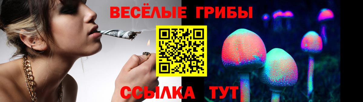 Галлюциногенные грибы Psilocybe Балашиха
